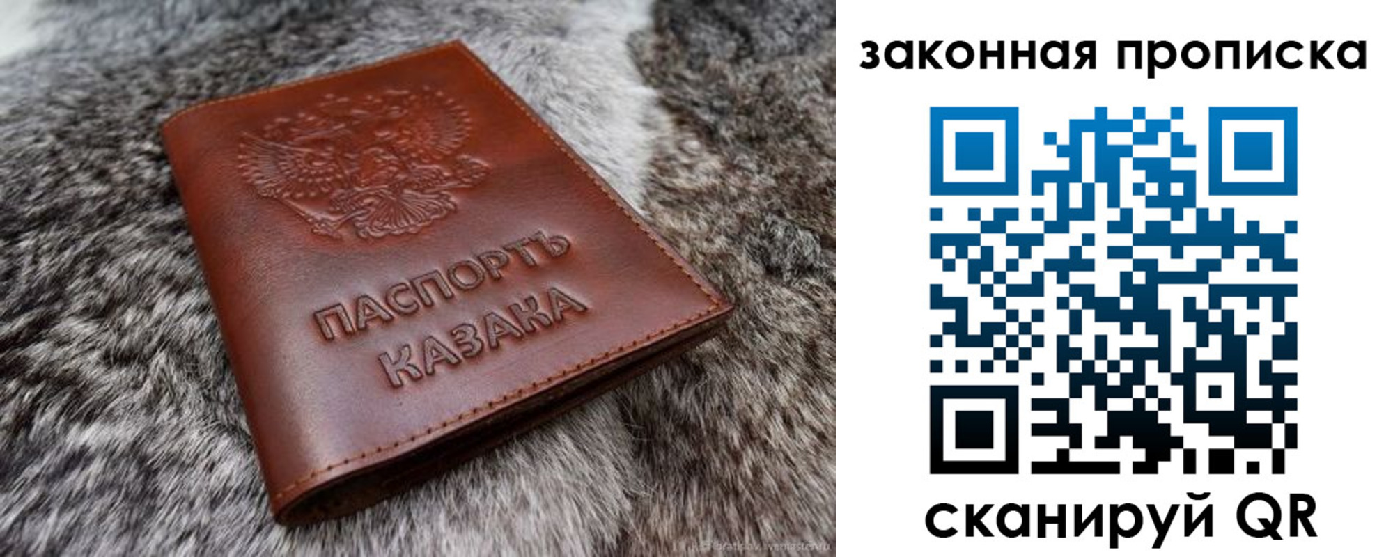 прописка в Красном Куте